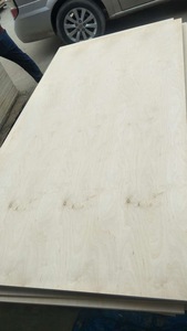 Pannello di compensato di <span class=keywords><strong>betulla</strong></span> naturale 12mm 5x10 dalla fabbrica di Linyi Chanta - Product Image 4