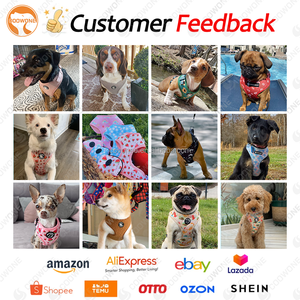 Custom Air Mesh Designer per cani imbracatura guinzaglio regolabile imbottito traspirante No Pull Pet imbracatura gilet petto con cane da passeggio borsa - Product Image 3