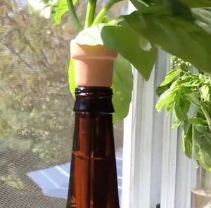 Jardinières à herbes en terre cuite à poser sur bouteille, pots à graines en terre cuite, jardinières d'intérieur pour herbes aromatiques, pots à herbes pour <span class=keywords><strong>rebord</strong></span> <span class=keywords><strong>de</strong></span> <span class=keywords><strong>fenêtre</strong></span> - Product Image 6