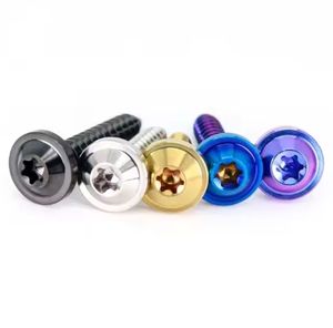 <span class=keywords><strong>GR5</strong></span>カラフルチタンTorxヘッドセルフタッピングネジ - Product Image 3