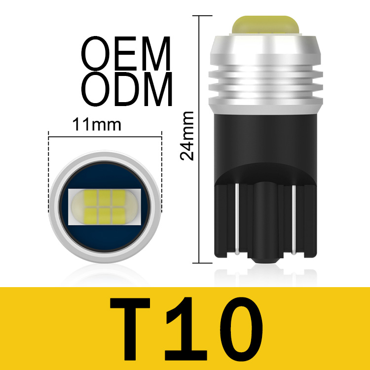 T10