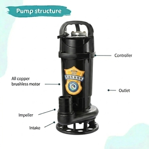 <span class=keywords><strong>Pompe</strong></span> submersible <span class=keywords><strong>solaire</strong></span> DC48/60/72V pour eaux usées, haute performance, hauteur <span class=keywords><strong>de</strong></span> refoulement 8m, 550W, DN40, pour drainage des eaux <span class=keywords><strong>de</strong></span> <span class=keywords><strong>pluie</strong></span> - Approvisionnement en gros usine - Product Image 3