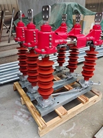 Desconectador de 2 Polos HRWG1-0.5KV de Media Tensión para Distribución y Seguridad en Redes de Distribución GW9-15