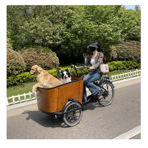 Vélo cargo néerlandais 250w <span class=keywords><strong>tricycle</strong></span> électrique avec siège vélo à 3 roues pour chien de compagnie - Product Image 1