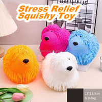 Jouet Squishy Lumineux et Moelleux pour Chiens, Chats et Lapins, Anti-Stress et Décompression, pour Enfants et Adultes