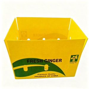 Dustproof Moisture Proof PP Hollow Sheet Stackable <b>Plastic</b> <b>Storage</b> <b>Bin</b> <b>for</b> Indoor Outdoor <b>Storage</b> and Protective Packaging Use - Product Image 3