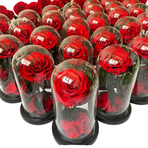 Mawar abadi abadi mawar abadi selamanya mawar tak terbatas dalam kubah kaca dengan LED untuk Hari Valentine dan Hari Ibu - Product Image 4