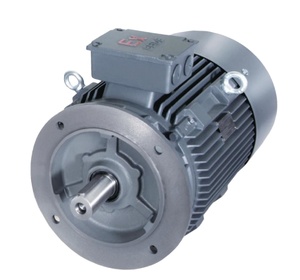 Moteur asynchrone triphasé basse tension Innomotics IE4 1LE8004 50Hz haute vitesse 1LE8004 Innomotics IE4 Moves Low - Product Image 5