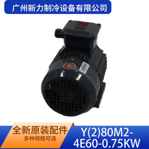 Motor Asíncrono Trifásico Y(2)80M2-4E60 0.75Kw, Montaje a Pie, IE2, 1500 RPM, Totalmente Cerrado - Product Image 4
