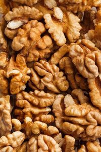 Nueces enteras crudas con cáscara, color marrón, forma natural, frescas, orgánicas, DALAI IMPEX Orissa - Product Image 6