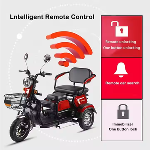 उच्च गुणवत्ता परिवर्तनीय ट्राइसाइकिल निर्माता प्रत्यक्ष बिक्री स्मार्ट अवकाश बड़ी क्षमता बैटरी 48 वी वोल्टेज ओपन बॉडी प्रकार - Product Image 5