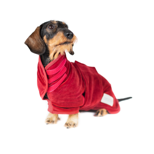 Prêt à expédier luxe coton chien peignoir velours extérieur tricoté couches intérieures turc Pet serviette de bain Robe - Product Image 6