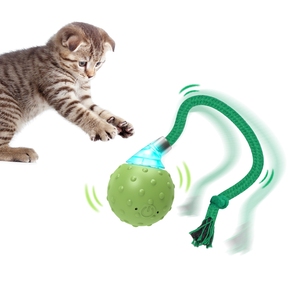 Rechargeable Automatic Electric Interactive Cat <strong>Toy</strong> Irregular Motion Trail <strong>Toy</strong> <strong>for</strong> <strong>Kitten</strong> With 3 Working Modes - Product Image 1