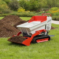 Günstiger Mini-Raupendumper mit Hydraulischer Selbstentladung, Kleiner LKW für Landwirtschaft und Landschaftsbau