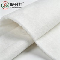 Géotextile non tissé filé à froid WSL pour la stabilisation des sous-sols de construction routière avec protection des pentes conformes aux normes ASTM