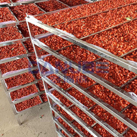 Four de séchage industriel pour la transformation alimentaire, déshydrateur de fruits, sécheuse de raisins, de noix de betel, de figues, de pruneaux et d'abricots