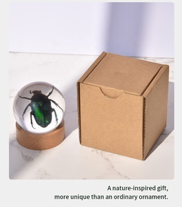 ลูกบอลคริสตัลใสมากงานฝีมือรูปแมลงจริงรูปโลกใบนี้ของขวัญวันฮาโลวีนปีใหม่ - Product Image 4