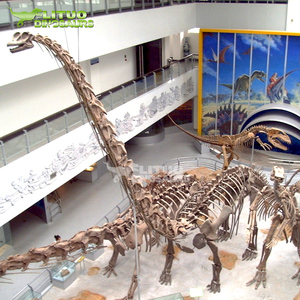 Sân chơi ngoài trời lớn <span class=keywords><strong>Brachiosaurus</strong></span> Bộ Xương Khủng Long nhân tạo - Product Image 3