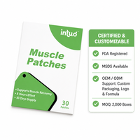 Patchs Musculaires 30 Patchs Transdermiques Bien-être 3x3cm Patchs Discrets à Porter pour la Vente en Gros
