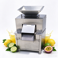 Automatische Mango Sapmaker Passievrucht Sapcentrifuge Granaatappelpers Machine