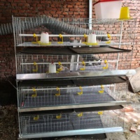 Cage de couvaison de type H neuve, directement de l'usine, en acier galvanisé, facile à installer, gain de place, pour poussins, 1 ensemble, prix bas