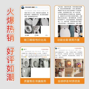 Elephant Dad Smart Toilet Seat Hdj132b 110V Instant Heating Remote Control Wash Dry Chinese Language Factory Wholesale - Product Image 4