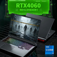 Laptop da Gaming Intel 16 Pollici I9-13a Generazione RTX 4060 8GB con Tastiera Retroilluminata RGB, Riconoscimento Impronte Digitali, DDR5 64GB, SSD 4TB