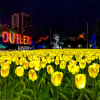 Lampu LED Tulip RGB Pixel DMX Grosir untuk Dekorasi Lanskap Luar Ruangan