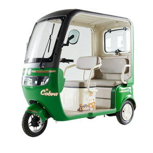 Robust 60V Utility E-Trike with Extended <strong>Open</strong>-Back <strong>Space</strong> for Enhanced Efficiency - Product Image 1