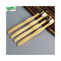 Brosse à dents biodégradable pour adultes, naturelle, douce, 10 000 poils, certifiée CE ISO, usage domestique