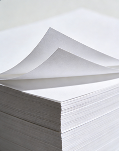 Copie de documents au format A4 Copyp Eper - Product Image 2