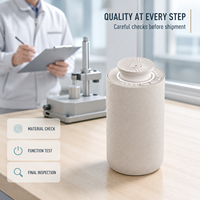 Diffuseur sans eau pour petits espaces 20 ml, machine à parfum Bluetooth pour bureau, salon, véhicule, minuterie intelligente, intensité réglable