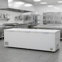 Congélateur horizontal à trois portes de grande capacité 1388L à refroidissement direct pour supermarchés.