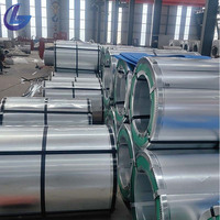Dachmaterial-Lieferant 0,25mm 0,3mm 0,35mm Z60 Z80 Verzinkte Stahlspule für Wellblech-Dachziegel Metalldachplatten