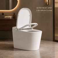 WC intelligent avec bidet automatique, lavage féminin à eau chaude, siège chauffant, séchoir à air, cuvette monobloc en céramique pour salle de bain domestique