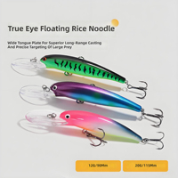 OEM 12g 20g Nouveau style Leurre flottant Minnow en PVC rigide pour la pêche en mer, kit de leurres biomimétiques avec yeux réalistes et longue queue