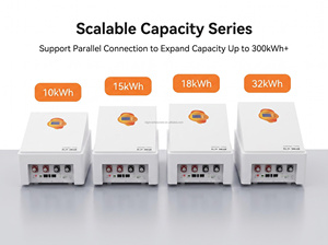 แบตเตอรี่ LiFePO4 10KWh 51.2V 200Ah พร้อมระบบจัดการแบตเตอรี่อัจฉริยะในตัว (Smart BMS) รองรับ RS485 และ CAN สำหรับเก็บพลังงานสำรองสำหรับบ้าน พลังงานแสงอาทิตย์ รถบ้าน และระบบออฟกริด - Product Image 5