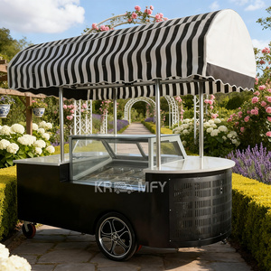Nuevo Carro de Venta de Helados 2025 ORIGINAL con 2 Ruedas, Triciclo Congelador de Gelato Italiano, Bicicleta de Fibra de Vidrio para Alimentos - Product Image 6
