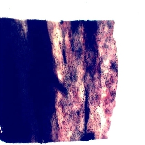 100% 工場カスタムガラススライド人間組織学を使用して作成された生体医学研究用顕微鏡スライド - Product Image 3