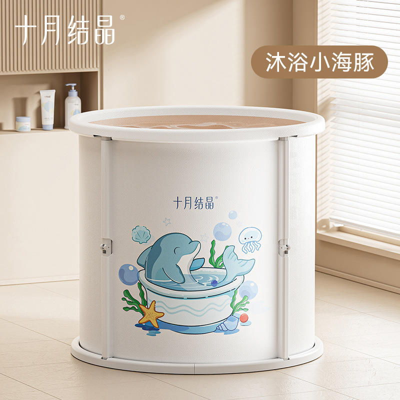 Dauphins qui se baignent