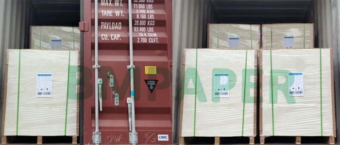 800gsm 1000gsm Double Sided Coated White Board White Core Grey Core