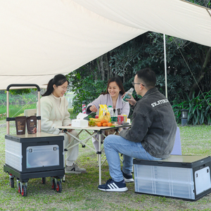 Carro de equipaje de PP Carro de plataforma plegable portátil Carro de mano - Product Image 5