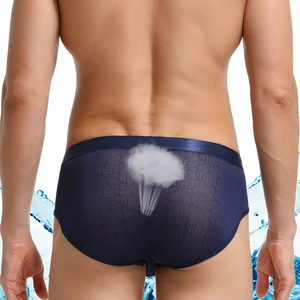 Calzoncillos de Nailon Delgados y Sexys para <span class=keywords><strong>Hombre</strong></span>, Ropa Interior Transpirable y Suave de Jacquard para Uso Diario Informal - Product Image 3