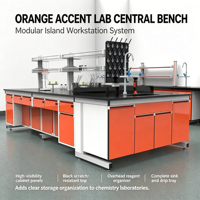 Banc de travail de laboratoire sur mesure, anti-corrosion, poste de travail de laboratoire, table de laboratoire à structure en acier pour l'ameublement de laboratoire