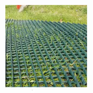 Venta al por mayor verde personalizado 1000gsm 100% HDPE malla plana de plástico protección de césped malla de refuerzo