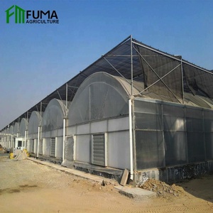 Serra Agricola Intelligente Commerciale Multicampata con Copertura in Film PO/PE per la Protezione delle Piante in Vendita - Product Image 5