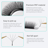 Extensions de cils en forme de W YY en gros, volume intense, noir mat, en soie, aspect naturel et moelleux, fournitures pour cils sous marque privée