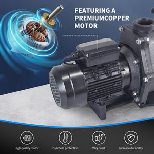 Pompe <span class=keywords><strong>piscine</strong></span> 0.75HP 3/4HP avec <span class=keywords><strong>minuterie</strong></span> - Product Image 4