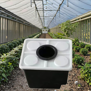 Grande Design del capanno in plastica con sistema idroponico olandese - Product Image 3