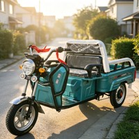 Kart électrique tout-terrain 750W 48V pour adultes avec batterie 20Ah, moteur BLDC, transmission par arbre, buggy des dunes, utilisation en extérieur, 70 km/h, charge 200 kg